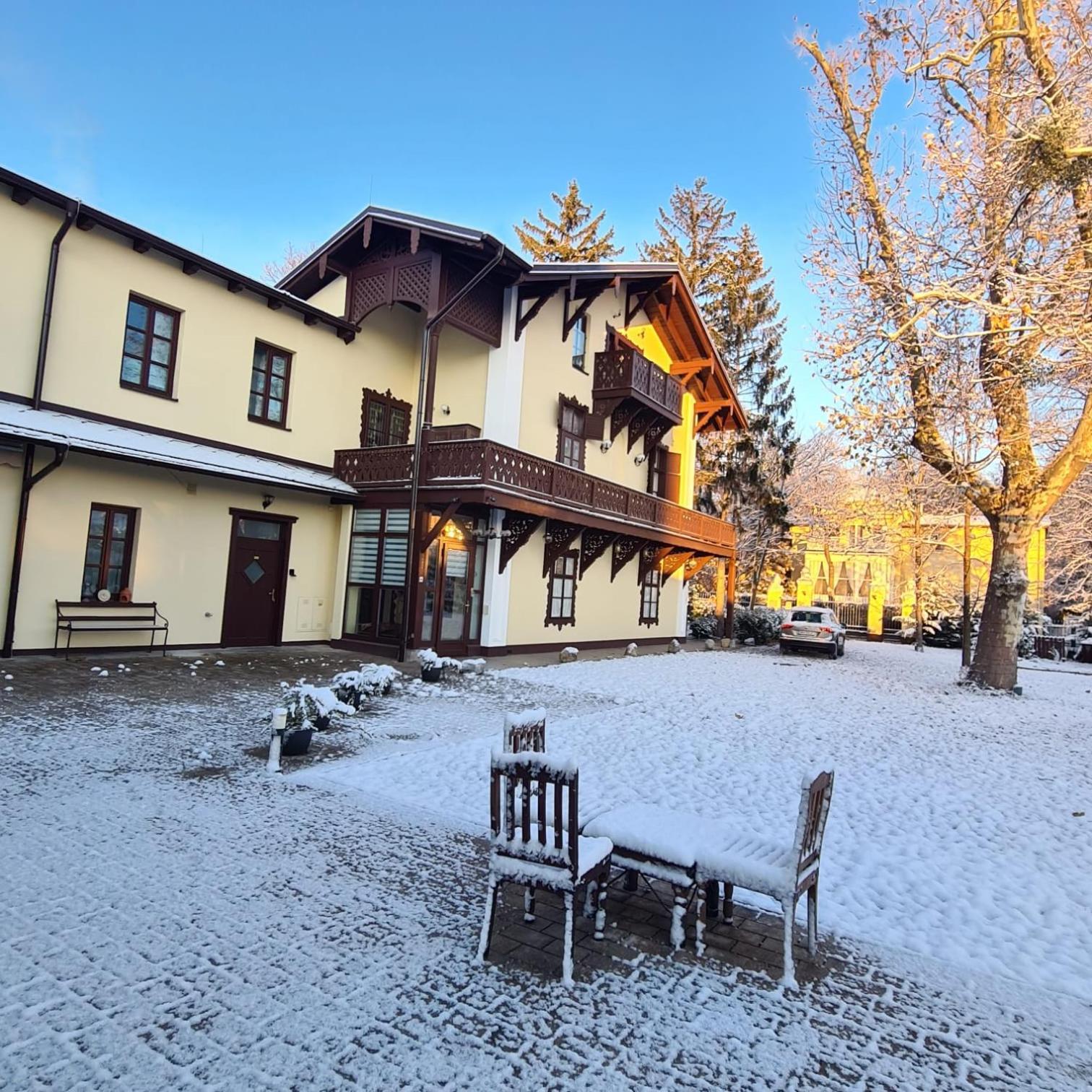Villa Musik - Historical Apartments In Baden Exterior photo